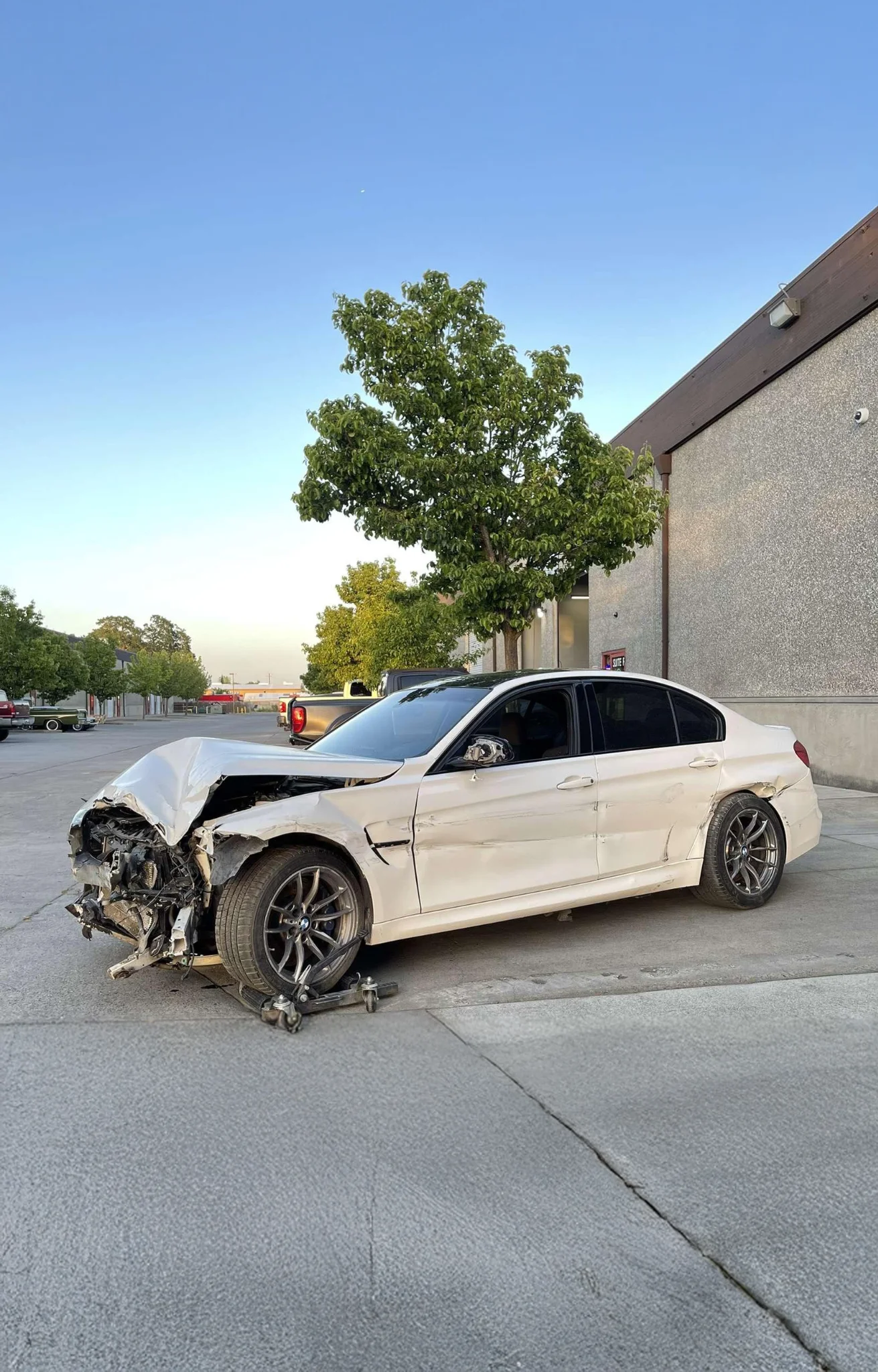 Direct delivery from any auction.